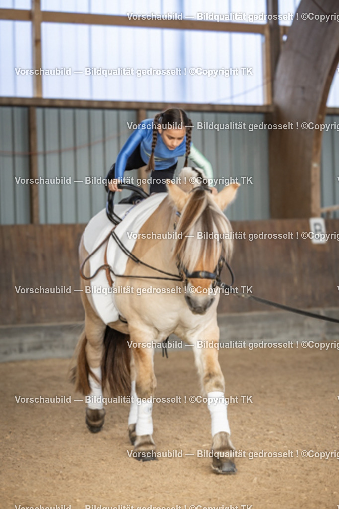 _D5A6600 | Emotionale Pferde- & People-Fotografie rund um Heidelberg, Leimen & Umgebung. Natürliche Fotos von Pferd, Mensch & Familie. Jetzt Termin sichern!
