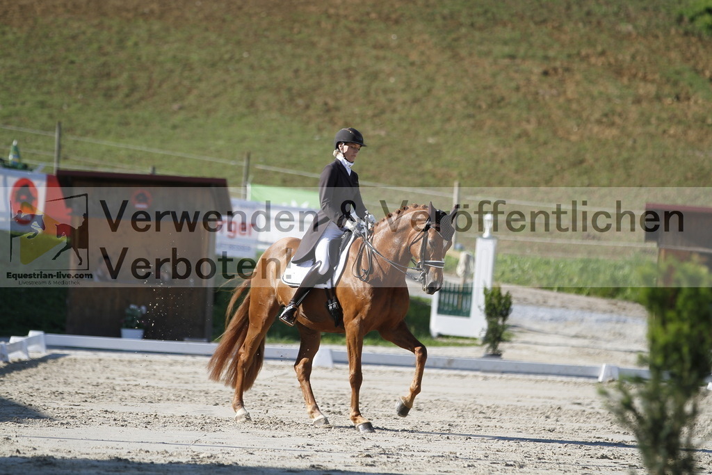 _MG_3268 | equestrian-live-com