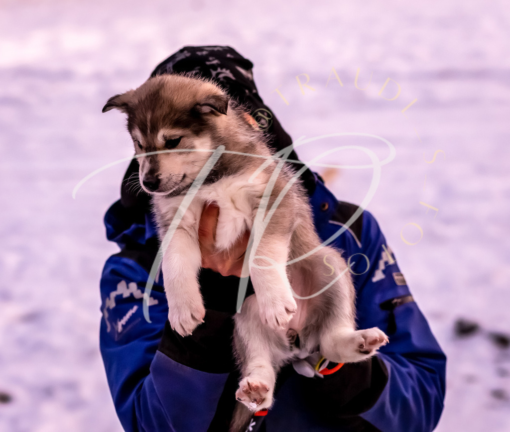 C115D819-14A2-49E2-838D-E37B643FB725 | traudl_s_fotos