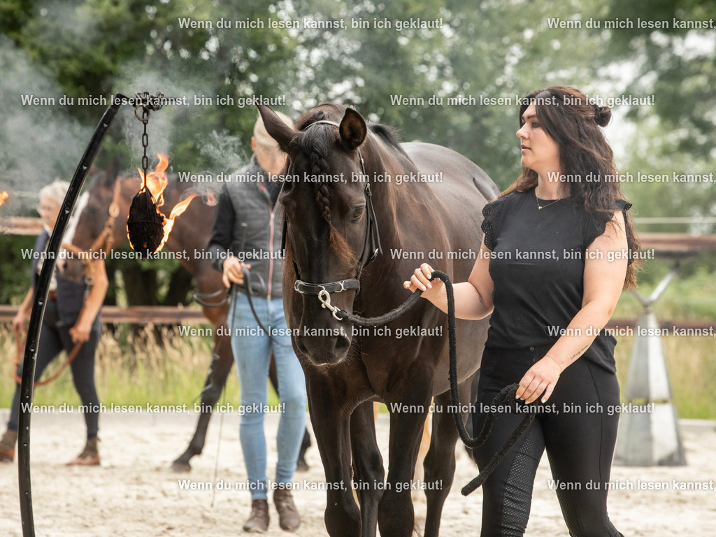 598A6415 | photographylinaismer - Realisiert mit Pictrs.com
