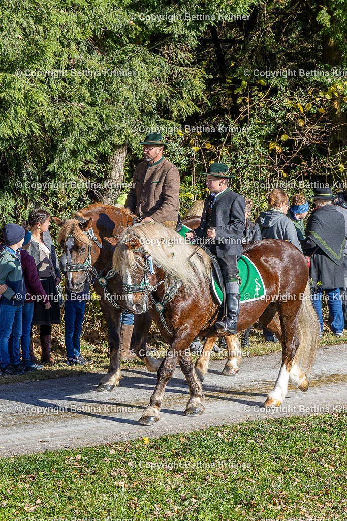 LBT25-823 | foto-bettina-krinner - Realisiert mit Pictrs.com