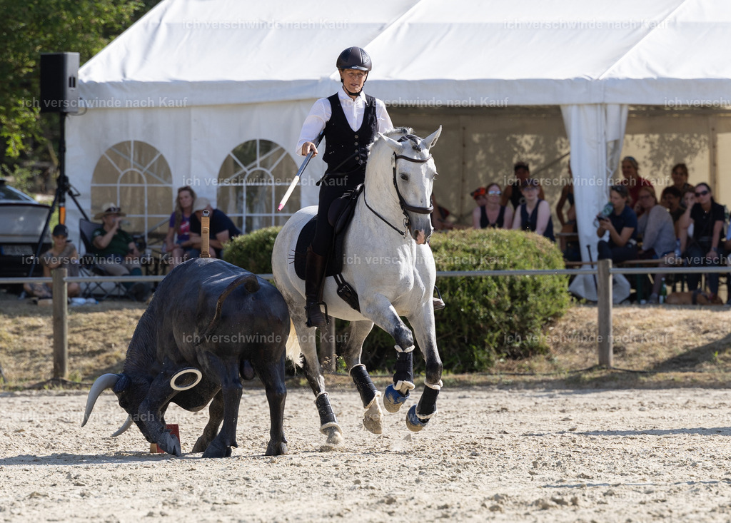 WS_SPEED_11_KerstinBernhardt-8 | working equitationturnier fotograf videograf stoibphotography marixx film working equitation deutschland reitsport turnierfotografie eventfotografie equestrian events