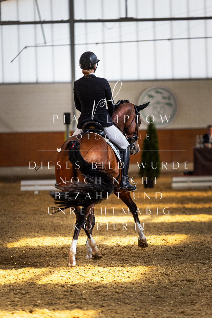 IMGT8545 | pl-fotografie