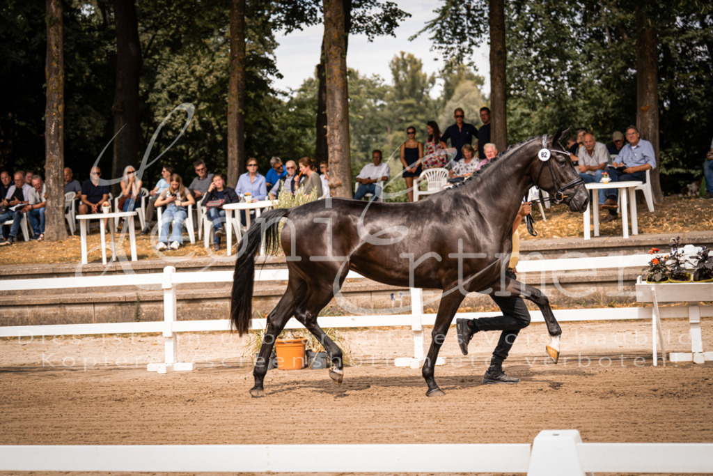 4.Fr00116 | Leoni Ertmer Photography - Realisiert mit Pictrs.com