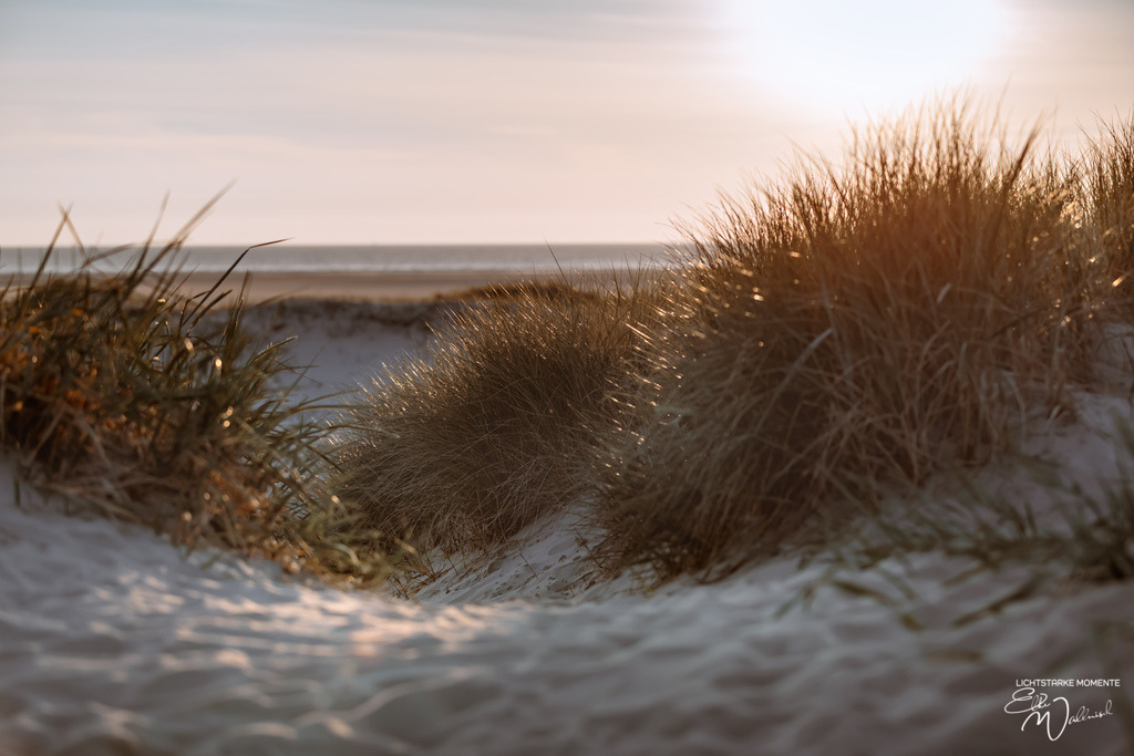 20240508-201248 NORDSEE SPO _331-1 | Herzlich willkommen auf meiner Seite! Ich bin Elke Wallnisch, Deine Fotografin für lichtstarke Momente. Der Name steht für alles, was mich mit der Fotografie verbindet: Das Licht und seine machtvolle Wirkung auf eine Situation oder unsere Stimmung - Realisiert mit Pictrs.com