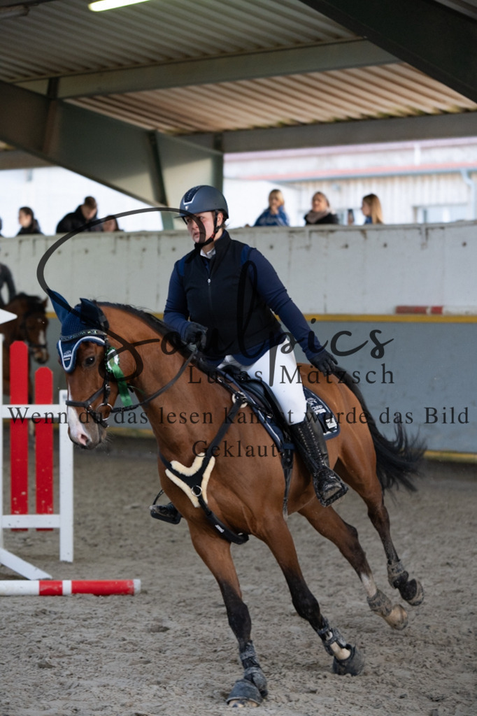 A7V04575 | Pferdefotograf