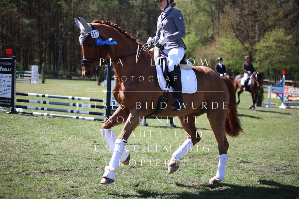 IMGT7942 | pl-fotografie