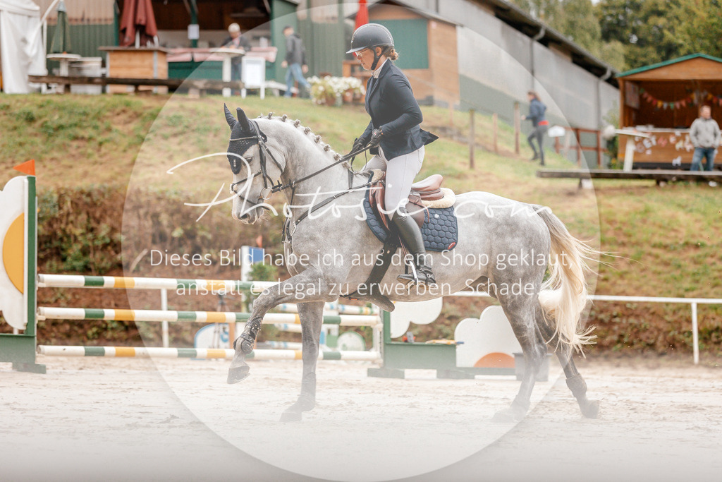 3I6A5841 | Stimmungsvolle Portraits und Reitsportfotografie im Ruhrgebiet und im Münsterland.

Pferdefotografie, Hundefotografie, Tierfotografie, Reportagen, Portraits von Tier und Mensch, Turnierfotografie in Bochum, Recklinghausen, Marl, Haltern am See, Dülmen.. - Realisiert mit Pictrs.com