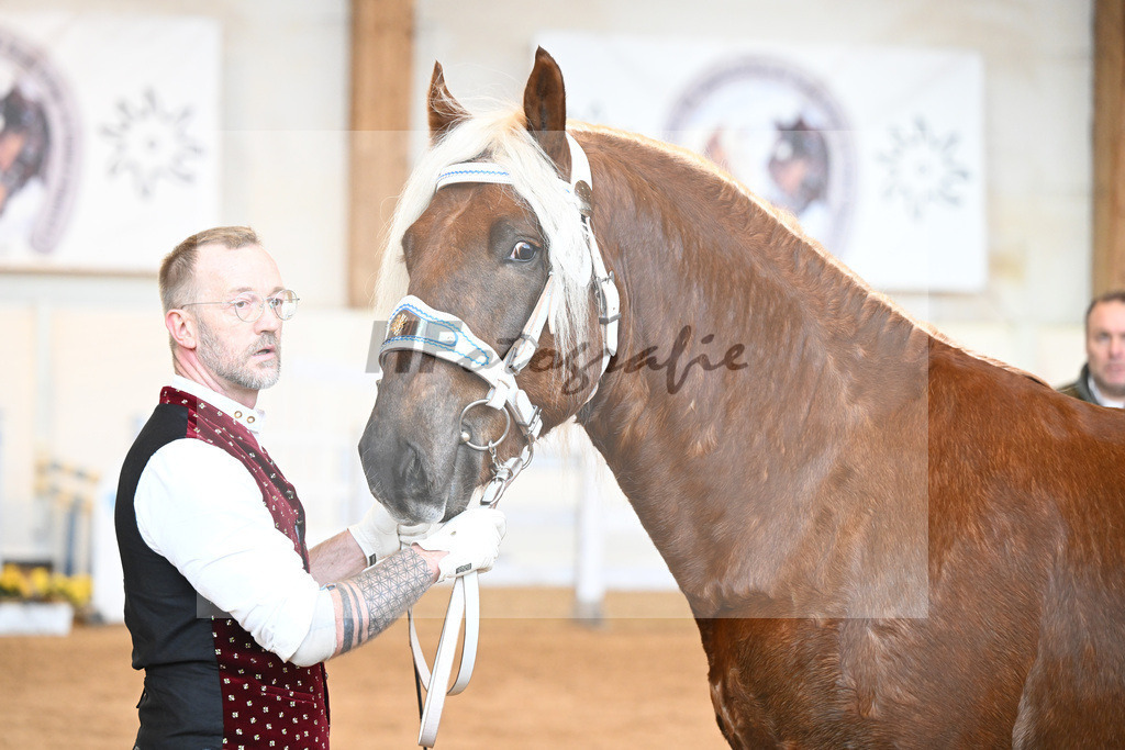 Kat-Nr. 14 v. Voithberg_Sixt_2230118 | hf-fotografie - Realisiert mit Pictrs.com