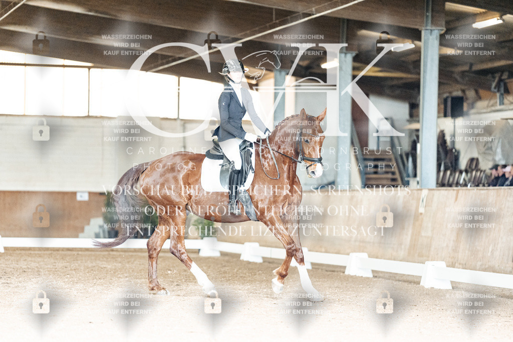 CK902427 | Turnierfotografie Pferdefotografie Trier Rheinland-Pfalz Pferdesport Reitsport Tierfotografie Sportfotografie Pferdevideo Pferdevideografie Equestrianvideography equestrianphotography  - Realisiert mit Pictrs.com
