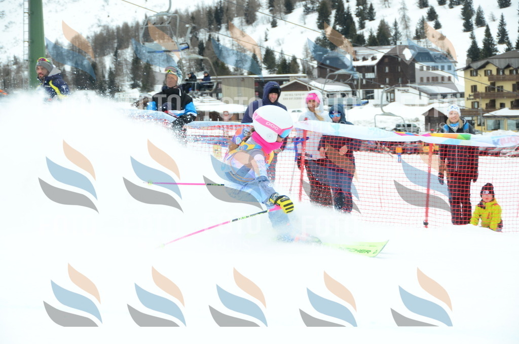 DSC_0786 | holidayphoto