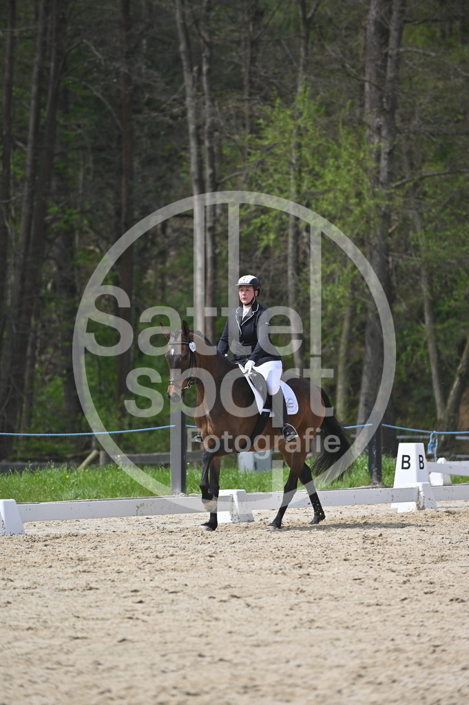 DSC_3330 | sattelsport - Realisiert mit Pictrs.com