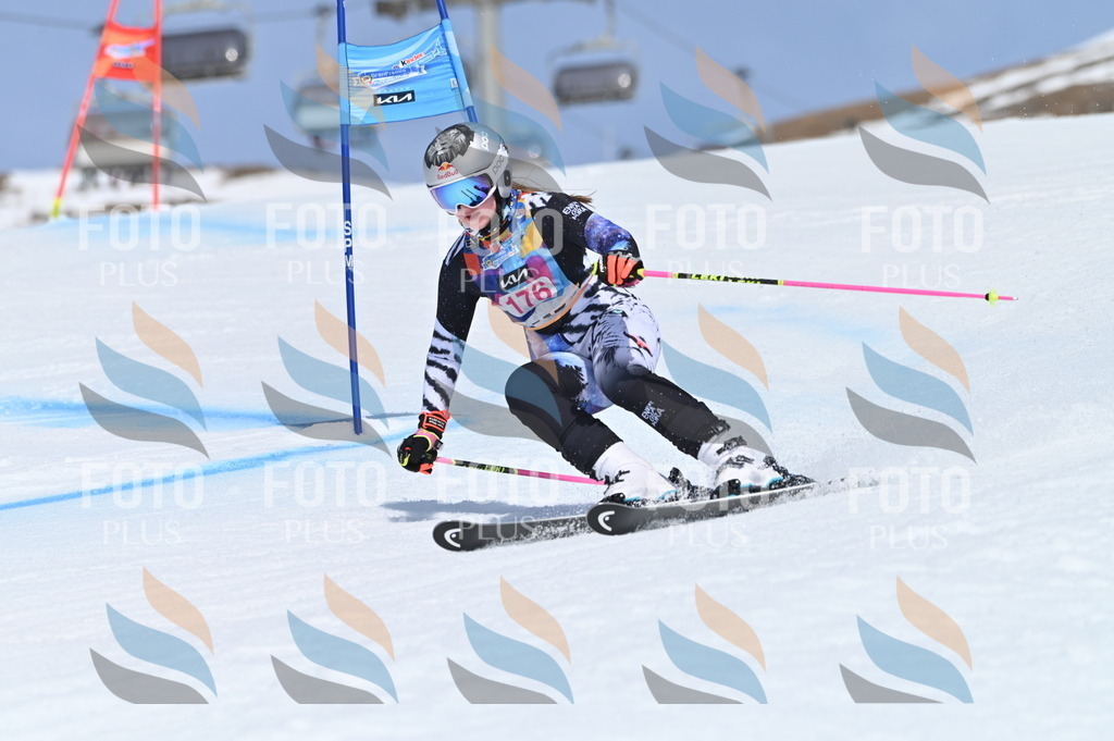 BGV_0544 | holidayphoto