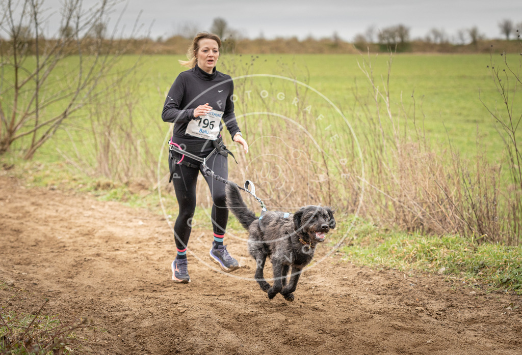 DV3A2358 | Hundefotografie, Tierfotograf, Pfotenfotografie, Fotoshooting Hund, Hunde Portrait, Hundesport, Hundeportraits, Heideshooting, Hunde, Sportfotograf, Hundefotograf, Turnierhundsport, THS,  - Realisiert mit Pictrs.com