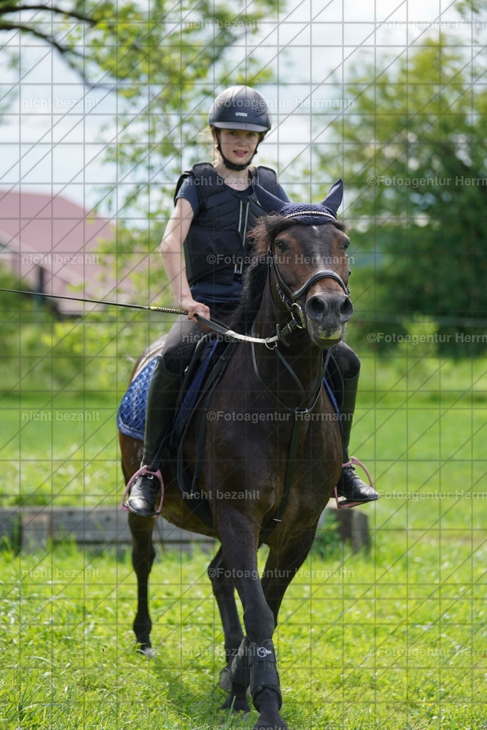 20240622-FAH08007 | Turnierfotografen Bayern, Reitsportbilder aus dem Geländekurs mit Felix Etzel auf dem Gut Waitzacker 2024