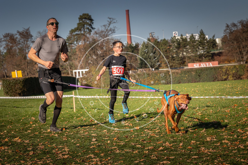CaniXpix_0L8A6817 | Hundefotografie, Tierfotograf, Pfotenfotografie, Fotoshooting Hund, Hunde Portrait, Hundesport, Hundeportraits, Heideshooting, Hunde, Sportfotograf, Hundefotograf, Turnierhundsport, THS,  - Realisiert mit Pictrs.com