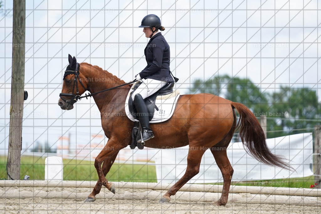20230826-FAH05610 | Forstinning, 2023, Dressurturnier, Turniersportbilder, Turnierfotografen Bayern, Fotoagentur Herrmann, Reitsportfotografie, Turnierbilder