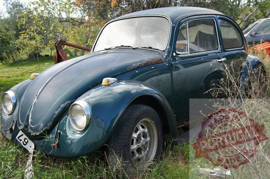 Old rusty abandoned Volkswagen Beetle decaying in high grass | Classic green Volkswagen Beetle rusting away in a field, showing signs of decay and neglect - Realisiert mit Pictrs.com