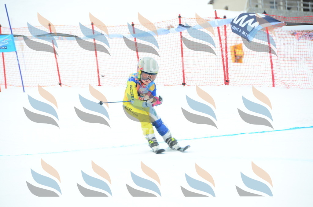 DSC_0954 | holidayphoto