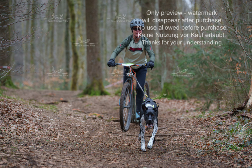 Scooter_So-71 | stephaniefillaphotographie - Realisiert mit Pictrs.com