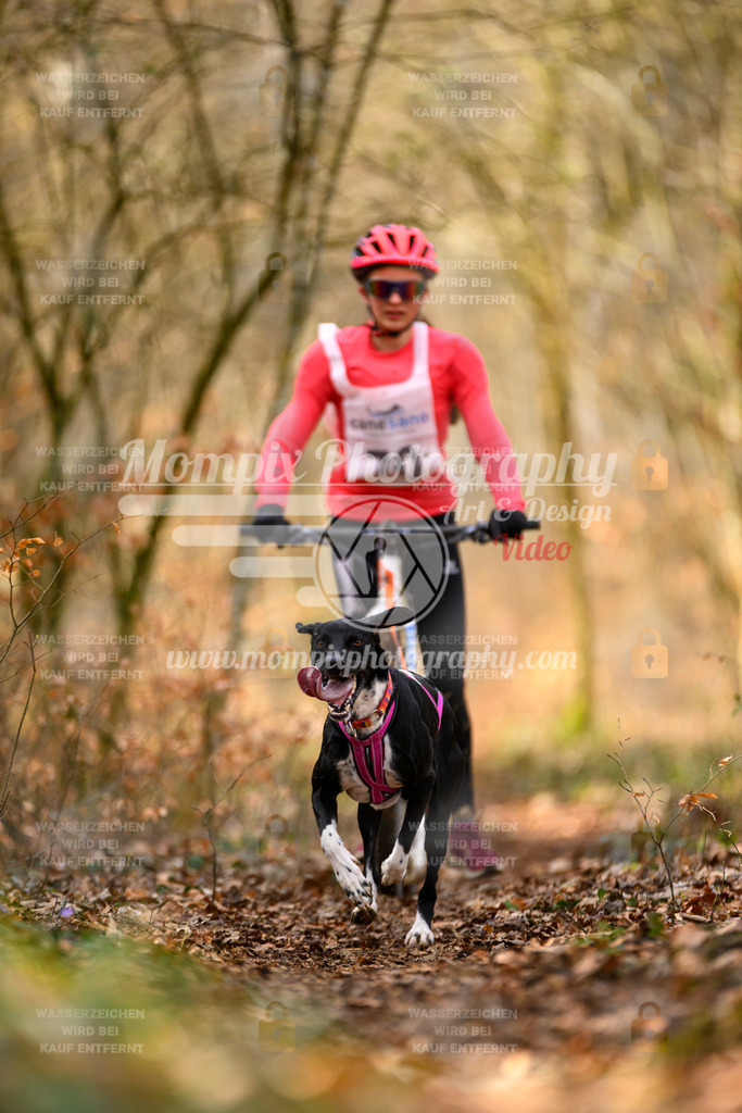 MompixPhotography_ReiatRennen2024_SO_DS1-13 | PayLife