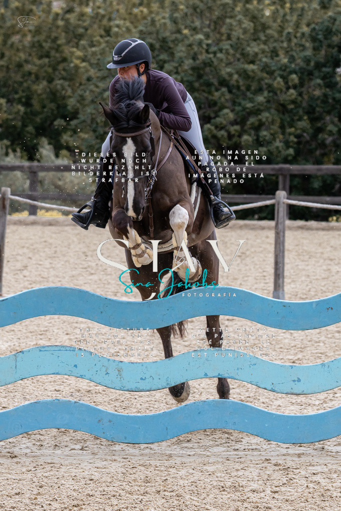 IMG_4002 | s-jay-photography - Realisiert mit Pictrs.com