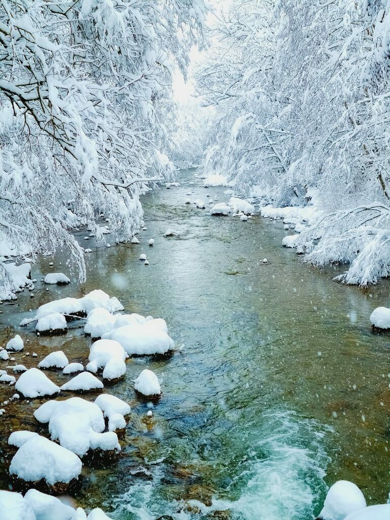 PSX_20211209_123340 | mtkfoto_ - Realisiert mit Pictrs.com