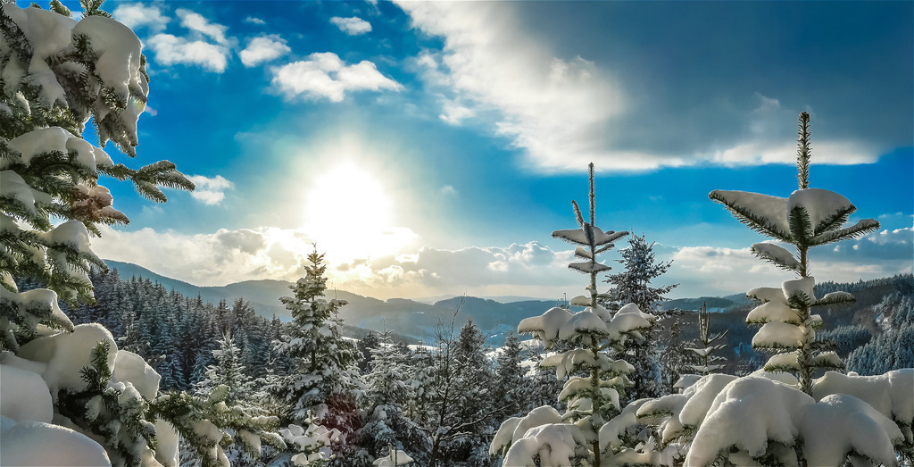 P1020171 | Bilder-Onlineshop für Heimatbilder vom Schwarzwald und Oberrhein. Galeriebilder auf Acrylglas, Alu-Dibond, Leinwand und Poster online bestellen. Der Schwarzwald als Wandbild für Ihr Zuhause! | Art, Kunst, Wandbilder, Black Forest, Deko - Realisiert mit Pictrs.com