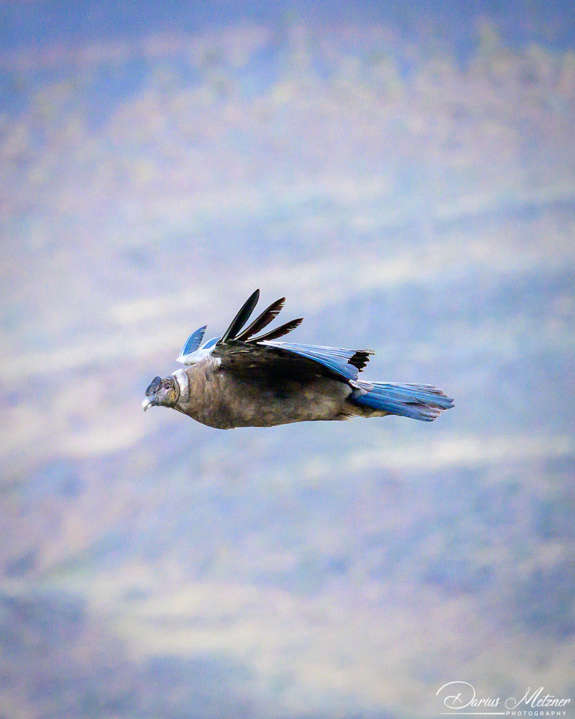 El Chalten in Argentinien | El Chalten in Argentinien