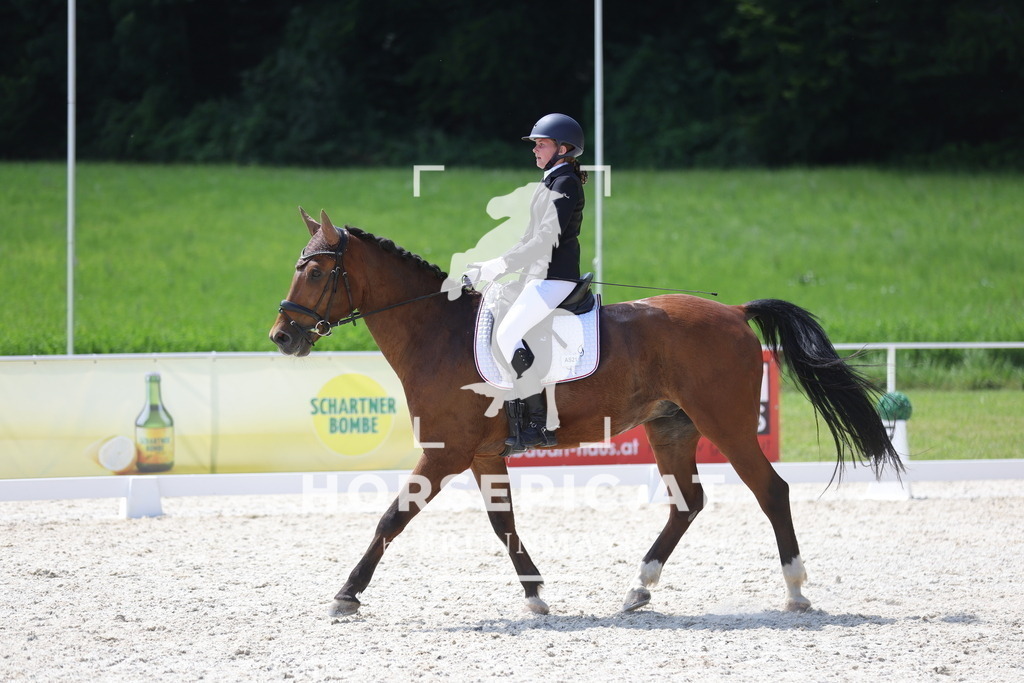 0P6A6577 | Willkommen bei Brunnmayr - Design & Fotografie – Ihrem Spezialisten für Reitturniere und Pferdeveranstaltungen in Oberösterreich, Salzburg und Bayern! Seit über 17 Jahren sind wir leidenschaftlich dabei.