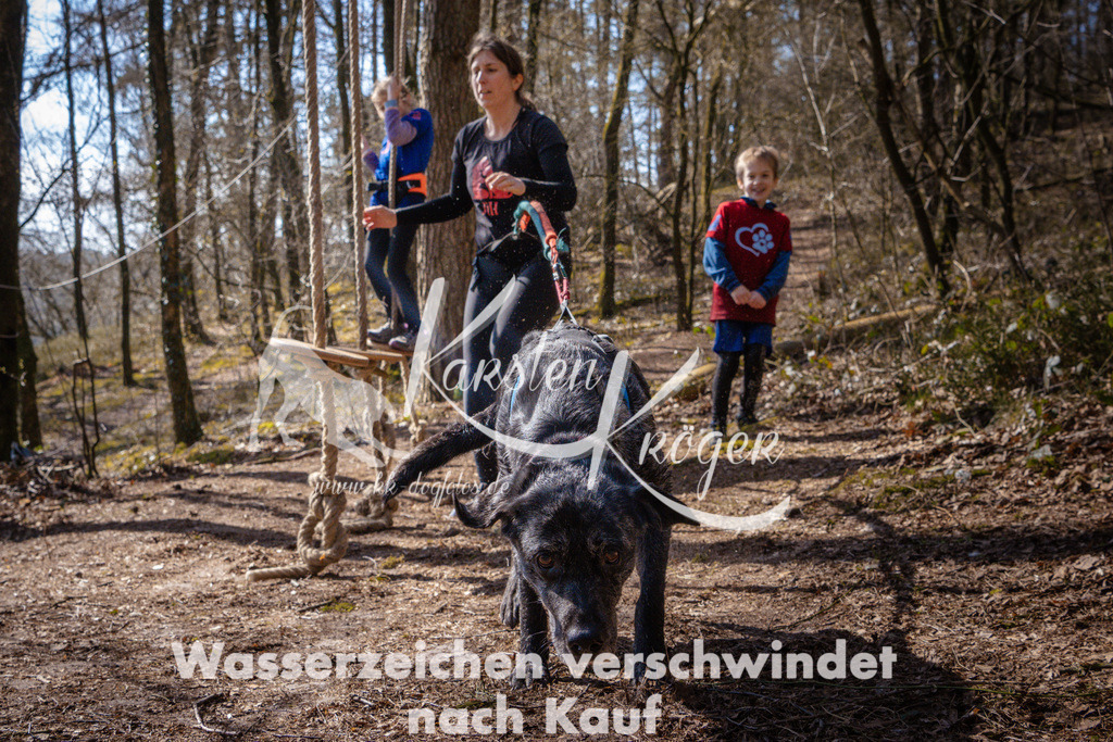 1117_ZZ97404 | kk-dogfotos