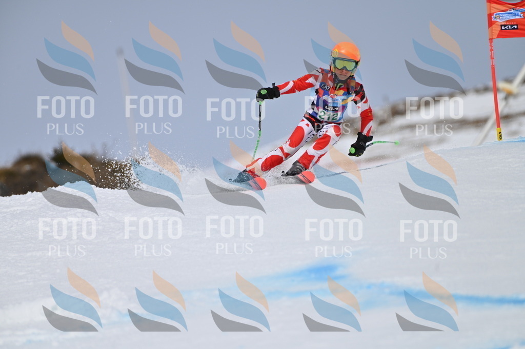 BGV_4100 | holidayphoto