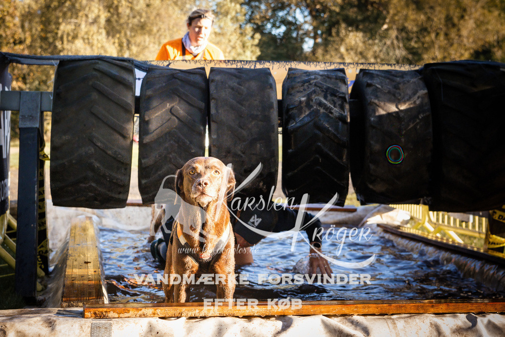 0927_ZZ91045 | kk-dogfotos