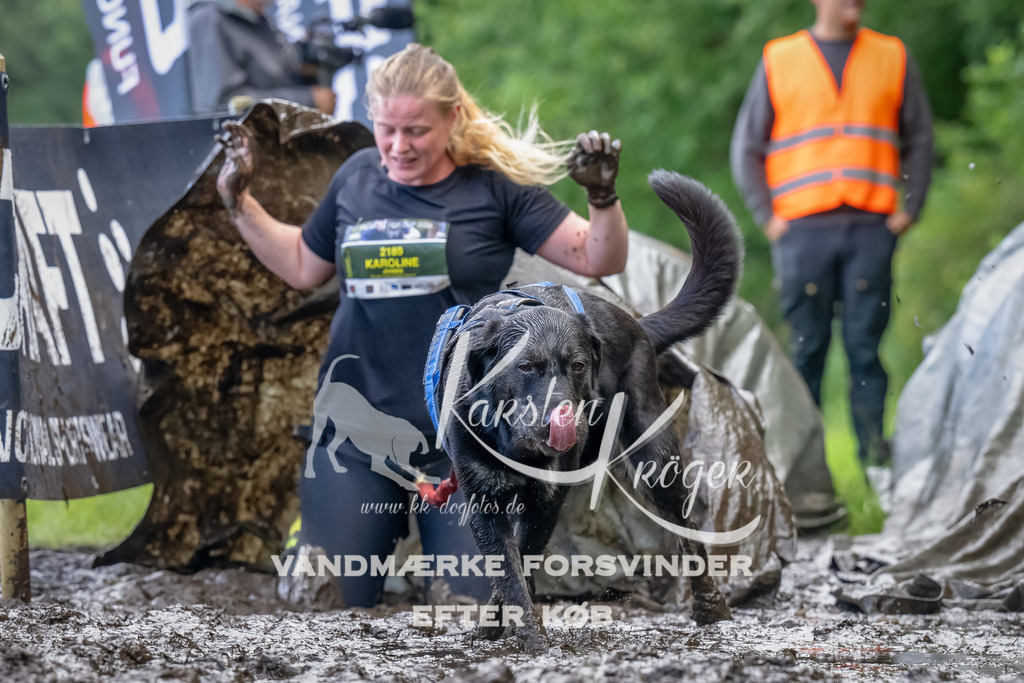 1153_ZZ90072-Bearbeitet | kk-dogfotos