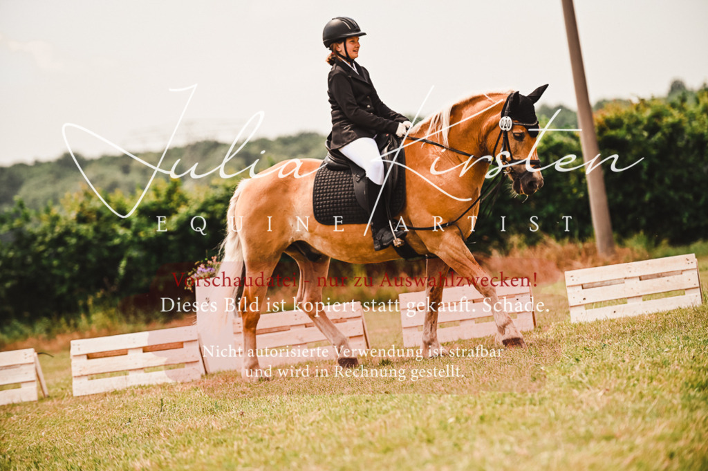 DSC_6352 | Pferde- und Turnierfotografie in Westsachsen. Pferdeportraits, Auftragszeichnungen und intuitive Kunst.
