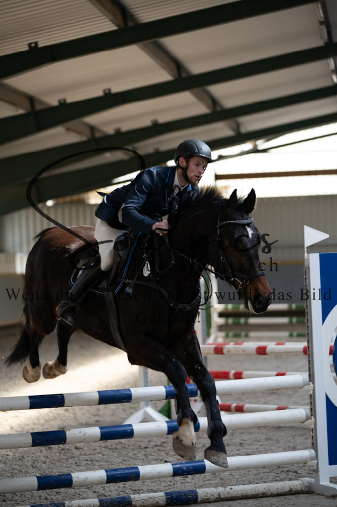 A7V08207 | Pferdefotograf