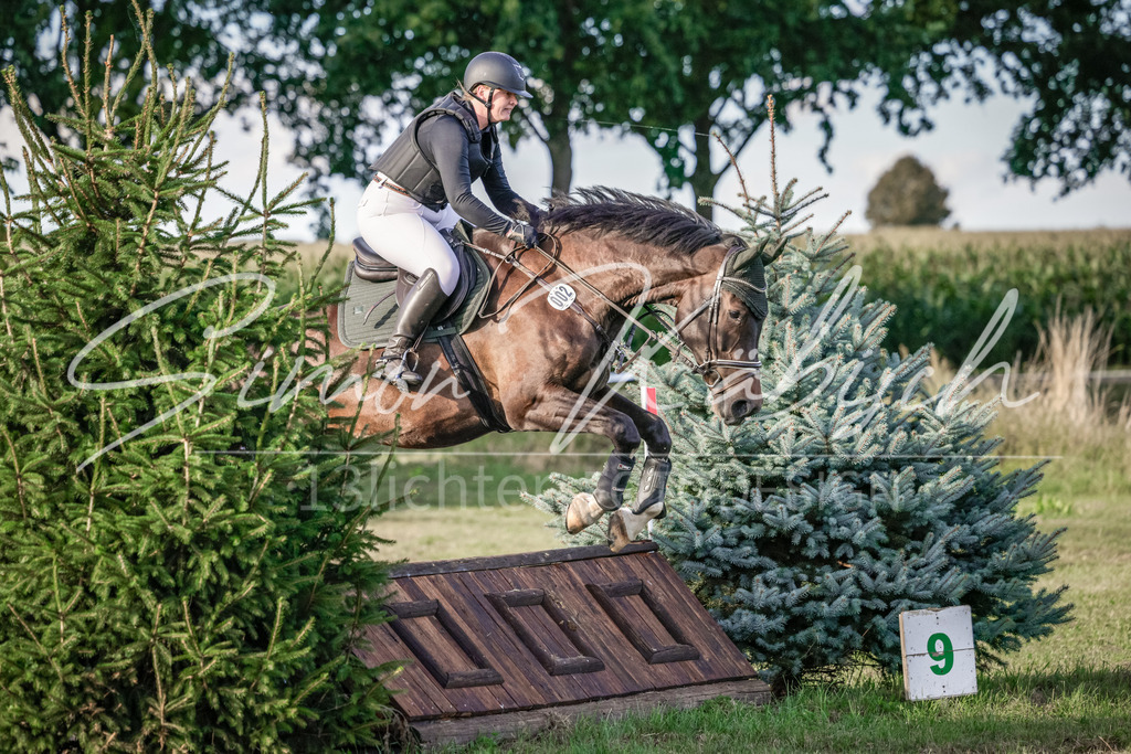 20250906-_3LI7835 | Tierfotografie Pferde, Hunde, Katzen, Haustiere.
Turnierfotografie Reitturniere, Reiten, Springreiten, Dressur in Hanau, dem Main-Kinzig-Kreis und dem Rhein-Main- Gebiet um Frankfurt
