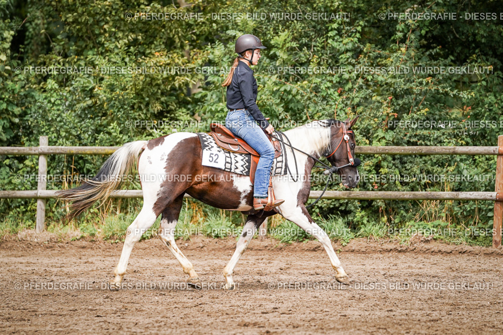 DSC07782 | Pferdegrafie