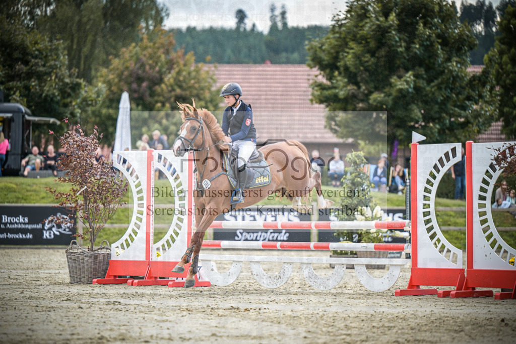 DOS_0606 | Entdecke hochwertige Reitturnierfotos von Foto Oger. Professionell, emotional und authentisch – jetzt Lieblingsmomente im Shop bestellen.Deutschlandweite Turnierfotografie. - Realisiert mit Pictrs.com