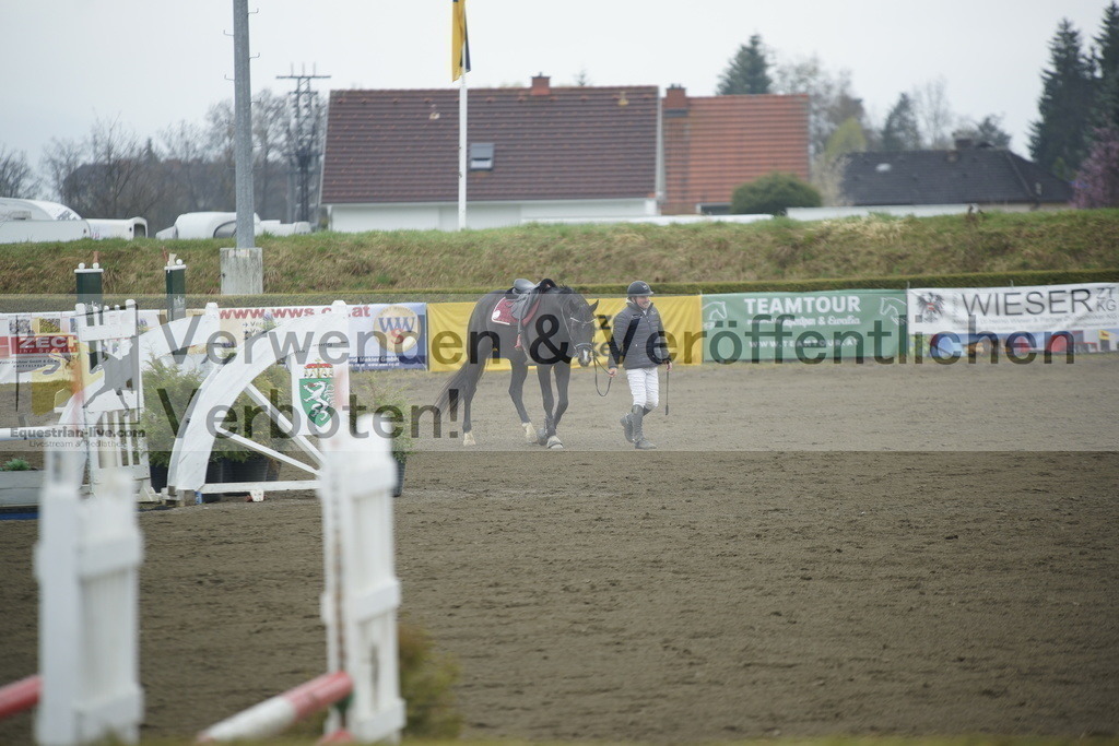 _DSC3800 | equestrian-live-com
