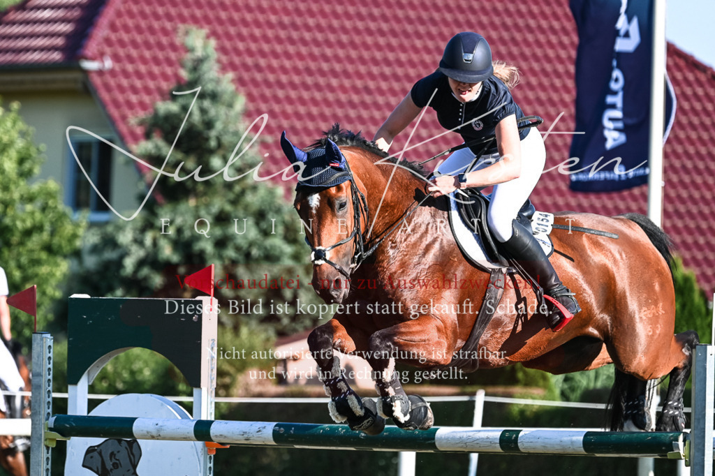 DSC_2904 | Pferde- und Turnierfotografie in Westsachsen. Pferdeportraits, Auftragszeichnungen und intuitive Kunst.