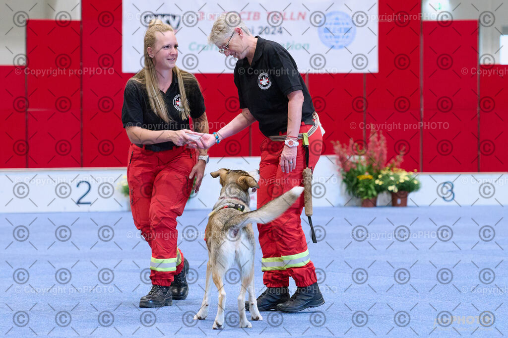 202406_ÖKV-IHA-Tulln24_DSC_3479 | proPHOTO - Realisiert mit Pictrs.com