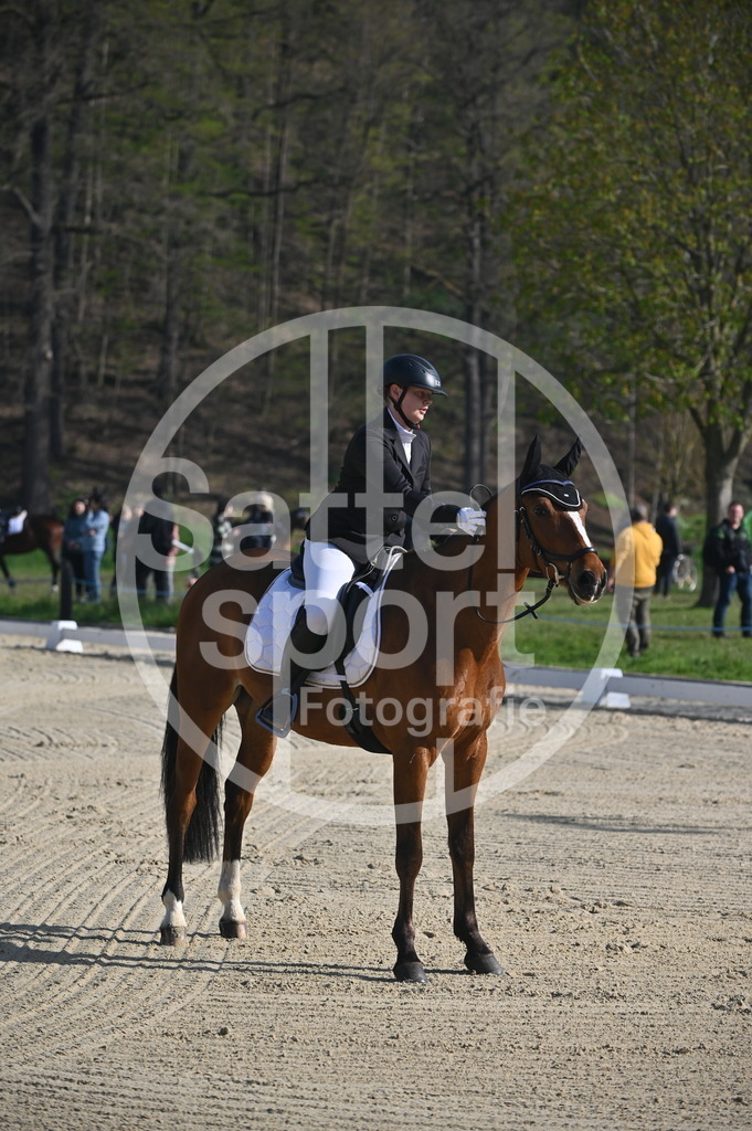 DSC_9970 | sattelsport - Realisiert mit Pictrs.com