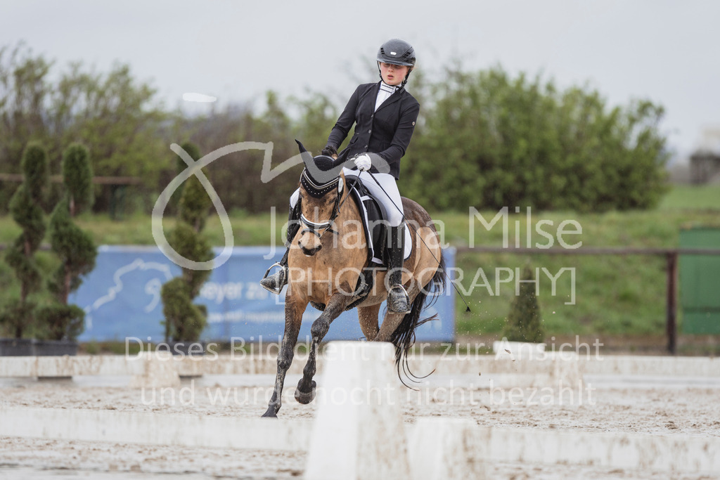 240401_Fruehlingsfest_A1-Dressur-439 | Deine schönsten Turniermomente als professionelle Fotos! Entdecke hochwertige Pferdesport-Fotografie im Online-Shop. Jetzt Fotos finden & bestellen!