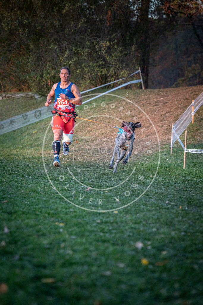 CaniXpix_0L8A2078 | Hundefotografie, Tierfotograf, Pfotenfotografie, Fotoshooting Hund, Hunde Portrait, Hundesport, Hundeportraits, Heideshooting, Hunde, Sportfotograf, Hundefotograf, Turnierhundsport, THS,  - Realisiert mit Pictrs.com
