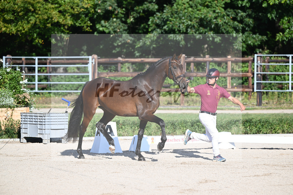 Kat-Nr. 8 Bahama Mama_ZG Sautter_36230580 | hf-fotografie - Realisiert mit Pictrs.com