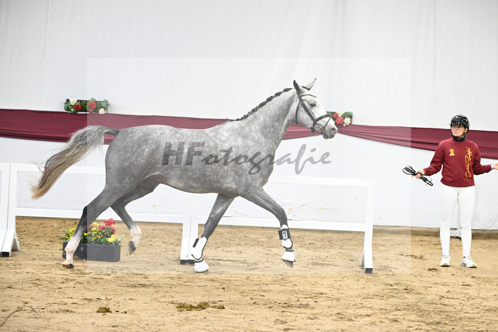 Kat-Nr. 12 I_m Special de Muze x Colman_Michaela Aeschbacher _47250184 | hf-fotografie - Realisiert mit Pictrs.com