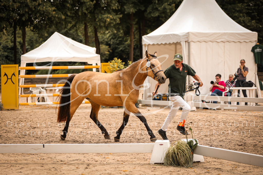 04.So00100 | Leoni Ertmer Photography - Realisiert mit Pictrs.com