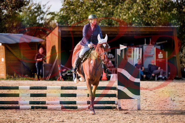 2026_10_03_Siefer-Hof_160637_Z81_88402906 | Professionelle Reitsport-, Turnier- und Eventfotografie von Robert Broda. Galerien mit ausgewählten und bearbeiteten Bildern direkt online ansehen und bestellen.