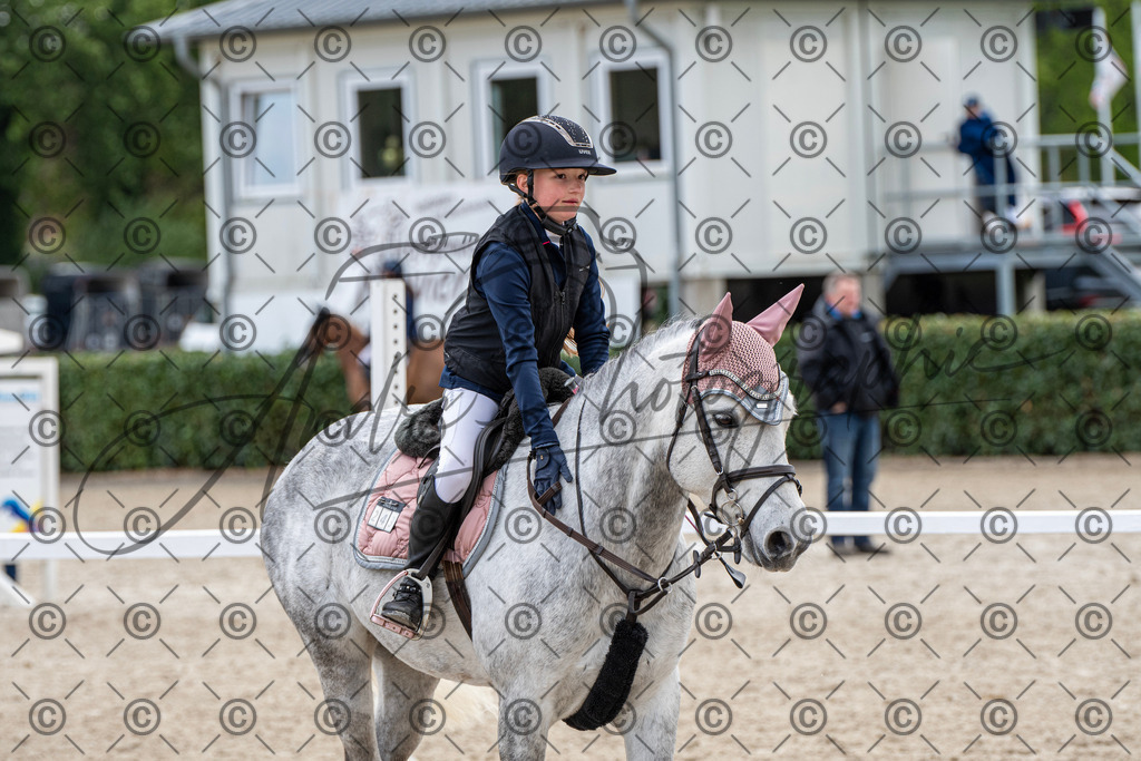 KPT_7907 | andre_photographic